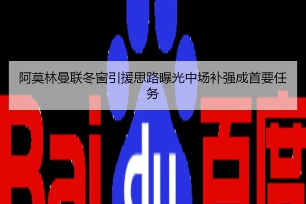 阿莫林曼联冬窗引援思路曝光中场补强成首要任务